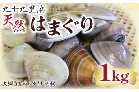 九十九里浜　天然はまぐり　1kg【厳選】ふるさと納税 はまぐり ハマグリ 蛤 天然 九十九里産 国産 ひな祭り 節句 おせち 千葉県 大網白里市 送料無料 P001