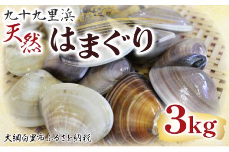 九十九里浜　天然はまぐり　3kg【厳選】ふるさと納税 はまぐり ハマグリ 蛤 天然 九十九里産 国産 ひな祭り 節句 おせち 千葉県 大網白里市 送料無料 P002