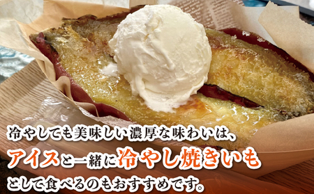 千葉県神崎町 JAかとり産 さつまいも 紅はるか Mサイズ20本入り 甘み濃厚 しっとり食感 焼き芋・干し芋に《先行予約・2025年12月～発送》べにはるか ベニハルカ [001-a001]【千葉県神崎町ふるさと納税】【焼き芋 食べ比べ チップス 干し芋】