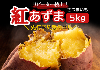 《注文殺到のため発送は12月以降》リピーター続出！さつまいも 紅あずま5kg 【神崎町・杉山農園から産地直送】【さつまいも いも 芋 紅あずま 焼き芋 チップス 干し芋】[019-a001]