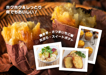 《注文殺到のため発送は12月以降》リピーター続出！さつまいも 紅あずま5kg 【神崎町・杉山農園から産地直送】【さつまいも いも 芋 紅あずま 焼き芋 チップス 干し芋】[019-a001]