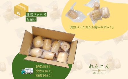 【テレビでも話題】千葉県神崎町産れんこん 2kg  有機肥料栽培の甘みとシャキシャキ食感（真空パック・冷蔵配送）（※4月～8月は出荷不可）