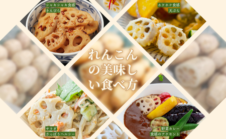 【テレビでも話題】千葉県神崎町産れんこん 2kg  有機肥料栽培の甘みとシャキシャキ食感（真空パック・冷蔵配送）（※4月～8月は出荷不可）