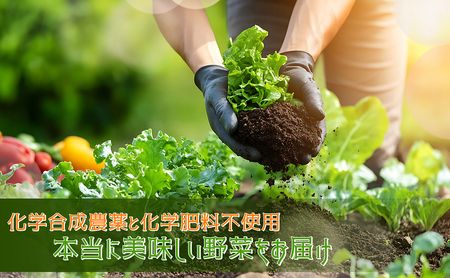 【数量限定】すが農園の季節の野菜セット（5～8品目）｜千葉県神崎町 ふるさと納税[023-a001]