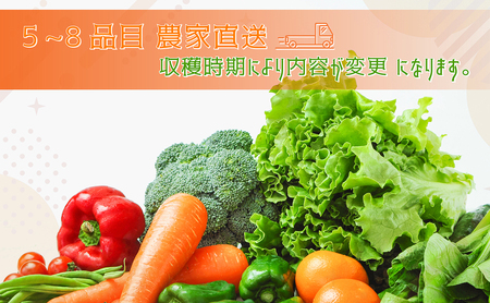 【数量限定】すが農園の季節の野菜セット（5～8品目）｜千葉県神崎町 ふるさと納税[023-a001]