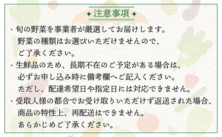 【数量限定】すが農園の季節の野菜セット（5～8品目）｜千葉県神崎町 ふるさと納税[023-a001]