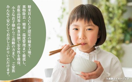 《令和7年産》千葉県神崎町産ふさおとめ 10kg（5kg×2袋）｜早場米産地のお米を食卓へ｜次発送予定｜｜数量限定【精米 米 お米 白米 ご飯 白ごはん 弁当 5キロ 10キロ 20キロ】[025-a001]