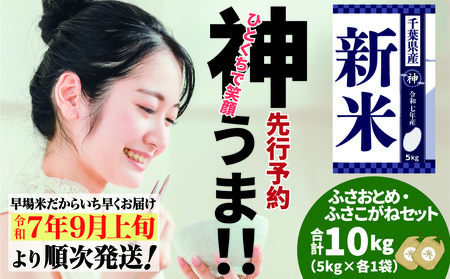 令和７年産　千葉県産ふさこがね15㎏（白米） 令和7年産》【米屋新蔵】お米ソムリエ特選 千葉県産『ふさこがね