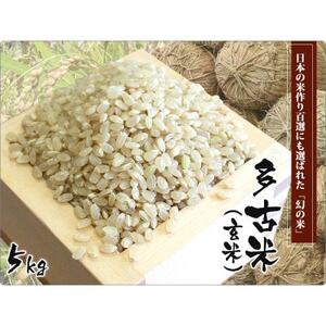 【令和5年産】たこまいらいふ萩原農場の多古米コシヒカリ(玄米)20kg【配送不可地域：離島・沖縄県】【1438051】