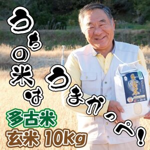 多古米グランプリ常連　佐藤さんのコシヒカリ【令和7年産玄米】10kg_佐藤さん コシヒカリ 玄米 令和7年産_【配送不可地域：離島】【1483709】