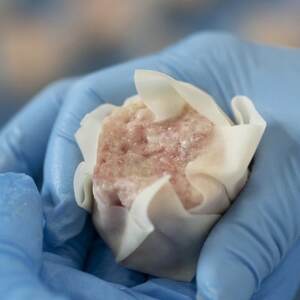 訳あり 元気豚 大粒肉焼売 1kg(50g×20個入り)_惣菜・加工品 シュウマイ _【配送不可地域:離島・沖縄県】【1506265】