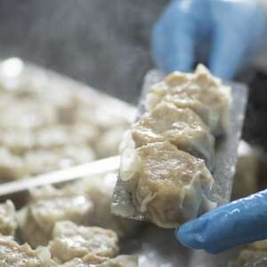 訳あり 元気豚 大粒肉焼売 1kg(50g×20個入り)_惣菜・加工品 シュウマイ _【配送不可地域:離島・沖縄県】【1506265】