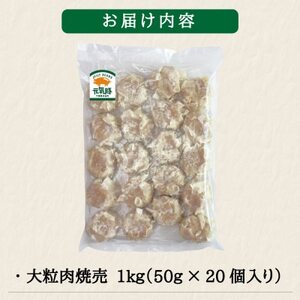 訳あり 元気豚 大粒肉焼売 1kg(50g×20個入り)_惣菜・加工品 シュウマイ _【配送不可地域:離島・沖縄県】【1506265】