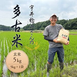 多古米セレクション　宇井稔二さんの多古米コシヒカリ　玄米5kg　令和7年産_多古米 コシヒカリ 玄米 令和7年産_【配送不可地域：離島】【1648311】