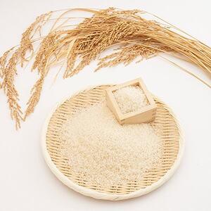 【毎月定期便】たこまいらいふ萩原農場の多古米コシヒカリ(精米)5kg全3回【配送不可地域：離島・沖縄県】【4072552】