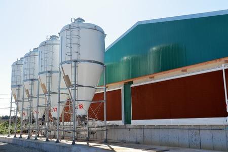 【千葉県産三元豚】元気豚 ロース味噌漬2種セット(10枚入り)_三元豚 ロース 味噌漬 千葉県産_【配送不可地域：離島・沖縄県】 TAKB012