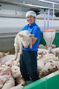 【農場直送】千葉県産三元豚　元気豚 精肉セット 3kg_三元豚 精肉 セット 農場直送_【配送不可地域：離島・沖縄県】 TAKB009