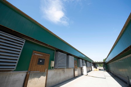 千葉県産豚肉　元気豚 精肉4種セット　1.7kg_元気豚 精肉 セット 千葉県産_【配送不可地域：離島・沖縄県】 TAKB021