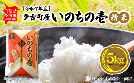 【令和7年産】多古町産いのちの壱 精米5kg_ 精米 米 _【配送不可地域:離島・沖縄県】 TAKE004