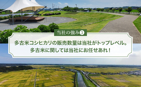 【令和7年産】多古町産いのちの壱 精米5kg_ 精米 米 _【配送不可地域:離島・沖縄県】 TAKE004
