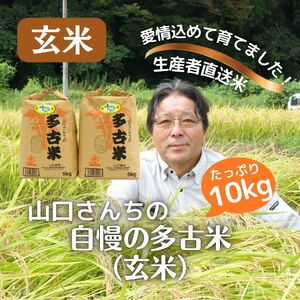 山口さんちの【令和7年産】多古米コシヒカリ(玄米)10kg_ 玄米 米 こめ コメ   コシヒカリ 米 こしひかり TAKF046