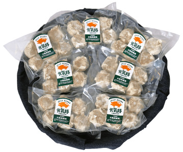 【毎月定期便】元気豚 大粒肉焼売セット 42個セット(計2.1kg)全9回_惣菜・加工品 シュウマイ    定期便 定期便  _【配送不可地域：離島・沖縄県】 TAKB065