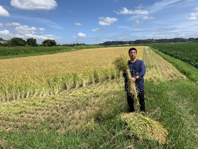 多古米セレクション　高石健太郎さんの多古米コシヒカリ　精米5kg　令和7年産 TAKF035