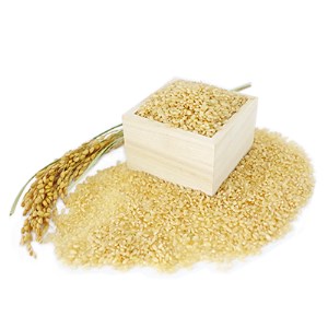 【令和4年産】特別栽培米コシヒカリ多古米　玄米10kg【1030396】