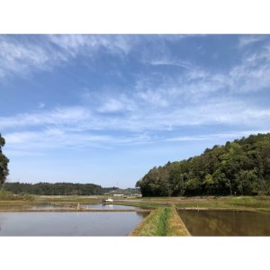 千葉エコ認証　特別栽培米多古米_特別栽培米 多古米 千葉エコ認証_【配送不可地域：離島・沖縄県】【1280501】