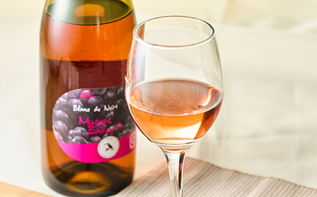 多古ワイン2022・マスカット ベーリーA 【Blanc deNoirs・ブランドノワール】_酒・アルコール 白ワイン ワイン _【配送不可地域：離島・沖縄県】【1371715】