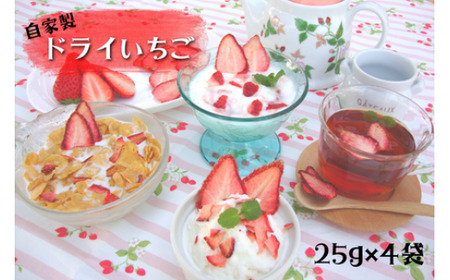 【磯山観光いちご園】自家製ドライいちご 100g 25g×4袋 手作り いちご 苺 イチゴ ドライフルーツ 無添加 国産 果物 フルーツ 千葉県 東庄町