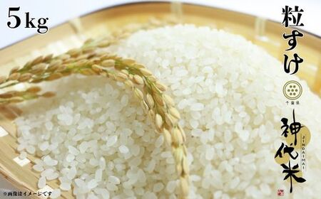 神代米（粒すけ）　精白米　5kg ／ 米 こめ コメ ごはん ご飯 神代米 粒すけ 令和7年産 精米 5kg 送料無料