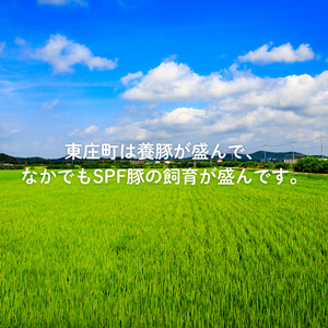 SPF豚のローストポーク（タレ付き）　450g（150g×3パック） ／ 豚 豚肉 SPF豚 SPFポーク ローストポーク