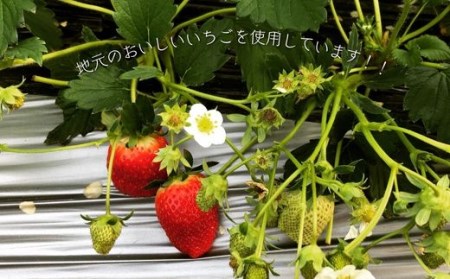 フレキシー手作りジャム【いちご】160g×3本