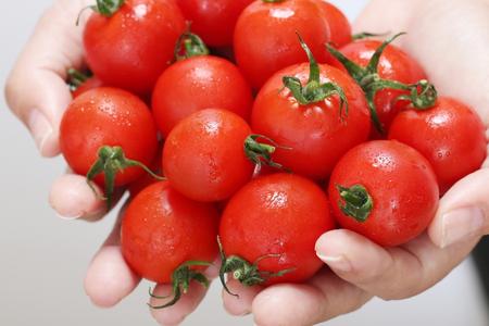 フルティカトマトジャム　140g×4本　合計560g