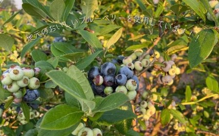 フレキシー手作りジャム【ブルーベリー】160g×3本