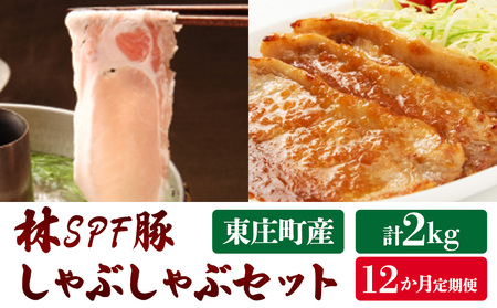 【12ヶ月定期便】東庄町産SPF豚肉 焼肉＆しゃぶしゃぶセット 計24kg 2kg×12回 豚肉 豚 ロース バラ 焼肉 焼き肉 しゃぶしゃぶ 真空パック 冷蔵 柔らかい 詰め合わせ 千葉県 東庄町