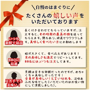 訳あり はまぐり 規格外 大はまぐり 4パック 計 1.6kg 貝 海鮮 魚介 海の幸 ハマグリ 蛤 海産物 国産 天然 産地直送 千葉県 九十九里 九十九里浜