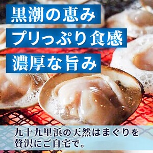訳あり はまぐり 規格外 大はまぐり 4パック 計 1.6kg 貝 海鮮 魚介 海の幸 ハマグリ 蛤 海産物 国産 天然 産地直送 千葉県 九十九里 九十九里浜