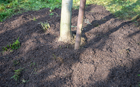 No.058 サラブレッドコンポスト 2kg