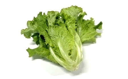 No.013 不揃いのレタスたち（プリーツレタス）500g×1袋