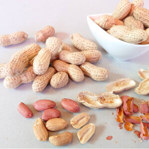 No.029 千葉県産落花生・千葉半立3袋