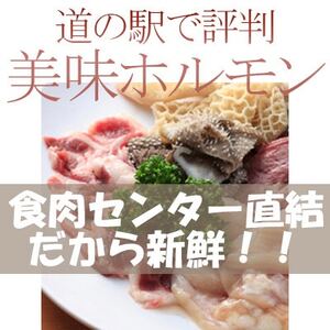新鮮な もつ を使用したガツにん君 ガツのにんにく漬(200g×3P) ガツ盛【配送不可地域:離島・沖縄県】【1007602】