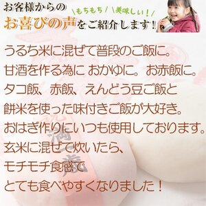 もち米10kg 千葉県産ヒメノモチ白米(5kg×2袋) 新米 お餅やお赤飯に【1012796】