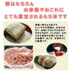 もち米10kg 千葉県産ヒメノモチ白米(5kg×2袋) 新米 お餅やお赤飯に【1012796】