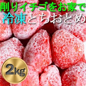 農家直送!削りイチゴパフェも楽しめるBELL FARMの美味しい冷凍いちご2kg【苺1kg×2箱】【配送不可地域：離島】【1013445】