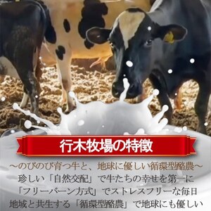 牧場アイス 季節のお勧め大人気6個セット【行木牧場のアイスクリームセット】しぼりたて牛乳で作りました【配送不可地域：離島】【1491605】