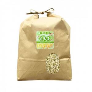 食物繊維たっぷりの『もち麦』(きはだもち) 4kg 千葉県横芝光町産 もち麦ごはん【1522911】