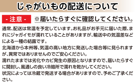 訳あり 北海道産じゃがいも〈男爵〉10kg［京極町］ 野菜 男爵 じゃがいも 北海道 料理