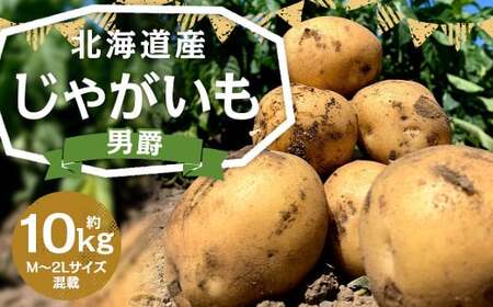北海道産 じゃがいも 男爵 M～2Lサイズ混載 約10kg 1箱 山田農場 ジャガイモ 芋 いも イモ 国産 【2025年9月下旬-2026年3月上旬迄発送予定】